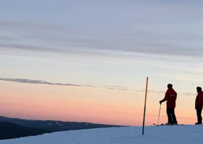 Skidåkning